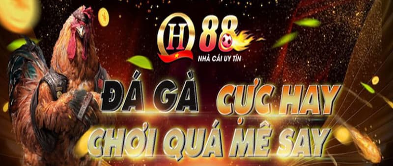 da ga QH88 3